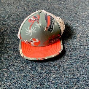 Patagonia Duckbill Trucker Hat